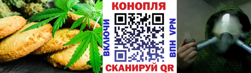 магазин продажи наркотиков  Азнакаево  Canna-Cookies марихуана 