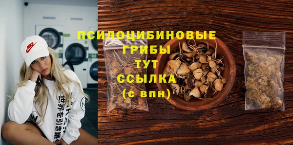 скорость Алексин
