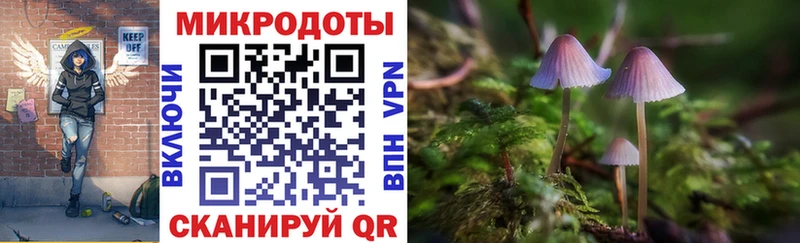 Галлюциногенные грибы мицелий  даркнет сайт  Азнакаево 